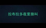拉布拉多夜里狼叫