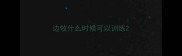 边牧什么时候可以训练