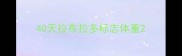 40天拉布拉多标志体重