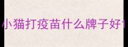小猫打疫苗什么牌子好
