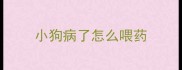 小狗病了怎么喂药