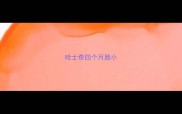 哈士奇四个月脸小