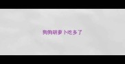 狗狗胡萝卜吃多了