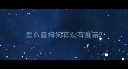 怎么查狗狗有没有疫苗