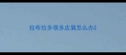 拉布拉多很多皮屑怎么办