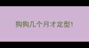 狗狗几个月才定型