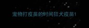 宠物打疫苗的时间狂犬疫苗