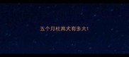 五个月杜高犬有多大