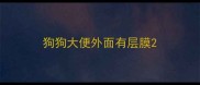 狗狗大便外面有层膜