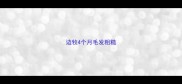 边牧4个月毛发粗糙