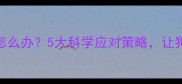 金毛幼犬焦躁不安怎么办5大科学应对策略让狗狗秒变乖巧小天使