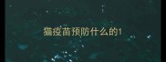 猫疫苗预防什么的