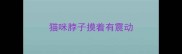 猫咪脖子摸着有震动