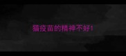 猫疫苗的精神不好