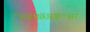 广州宠物医院哪个好