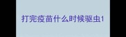 打完疫苗什么时候驱虫