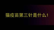 猫疫苗第三针是什么