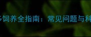 成年拉布拉多饲养全指南常见问题与科学护理方法