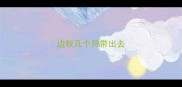 边牧几个月带出去