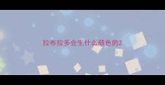 拉布拉多会生什么颜色的