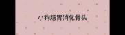 小狗肠胃消化骨头