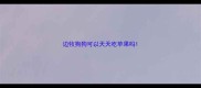 边牧狗狗可以天天吃苹果吗