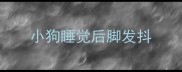 小狗睡觉后脚发抖