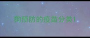 狗预防的疫苗分类