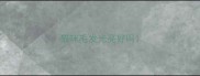 猫咪毛发光亮好吗