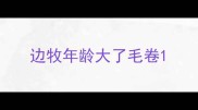 边牧年龄大了毛卷