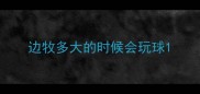 边牧多大的时候会玩球