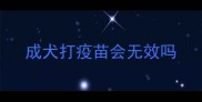 成犬打疫苗会无效吗