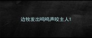 边牧发出呜呜声咬主人