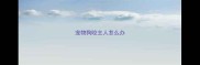 宠物狗咬主人怎么办