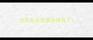 拉布拉多把磨牙棒吞了