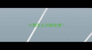 小狗怎么训练吃食