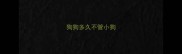 狗狗多久不管小狗