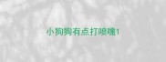 小狗狗有点打喷嚏