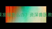 3个月幼犬眼屎发绿怎么办资深兽医教你3步快速解决