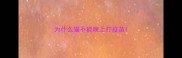 为什么猫不能晚上打疫苗