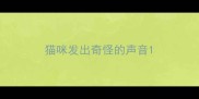 猫咪发出奇怪的声音