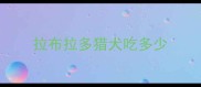 拉布拉多猎犬吃多少