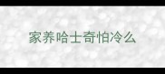 家养哈士奇怕冷么