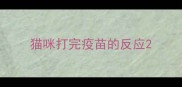 猫咪打完疫苗的反应