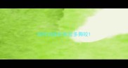 如何训练拉布拉多撕咬