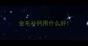 金毛补钙用什么好