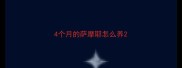 4个月的萨摩耶怎么养