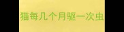 猫每几个月驱一次虫