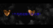 1个月的边牧不去大便