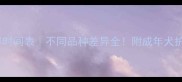 狗狗成年时间表不同品种差异全附成年犬护理指南
